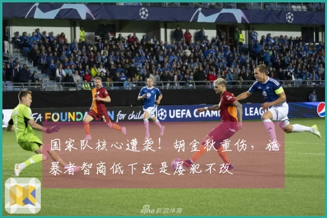 国家队核心遭袭！胡金秋重伤，施暴者智商低下还是屡犯不改