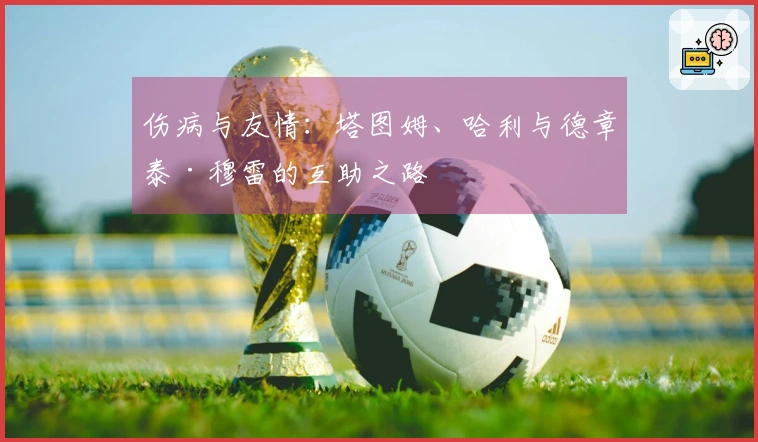 伤病与友情：塔图姆、哈利与德章泰·穆雷的互助之路