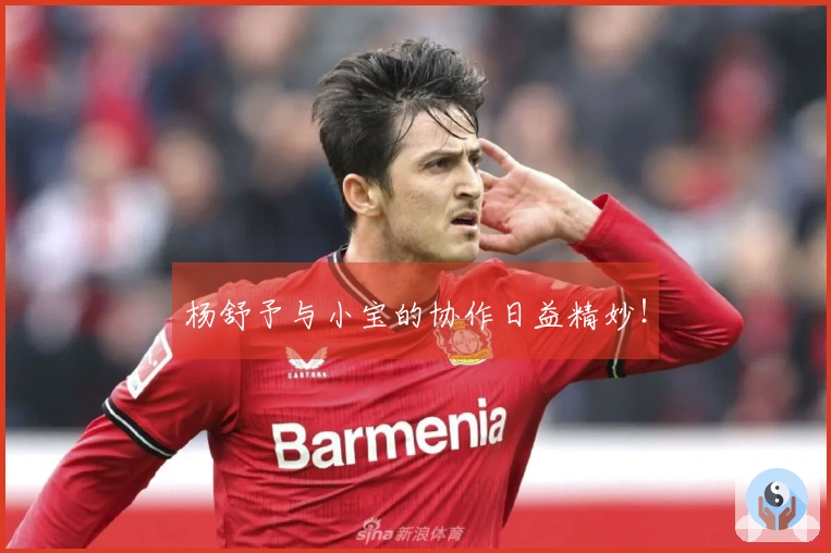 杨舒予与小宝的协作日益精妙！