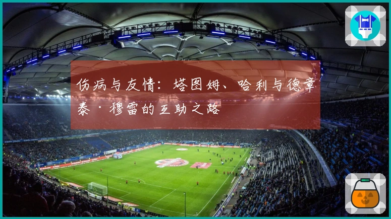 伤病与友情：塔图姆、哈利与德章泰·穆雷的互助之路
